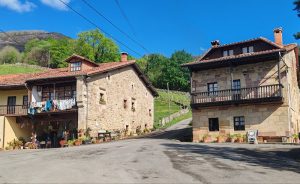 Casas barrio La Mahilla (Selores)