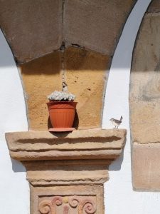 Casa blasonada barrio El Dureo (Sopeña)