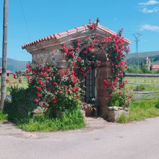 El Santuco (Terán)