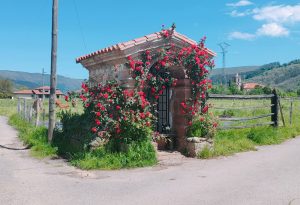 El Santuco (Terán)