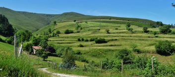 Campa del Otero (Carmona)