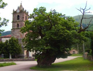 La Castañera (Terán)