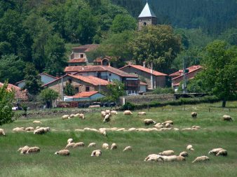 Valle (Cabuérniga)