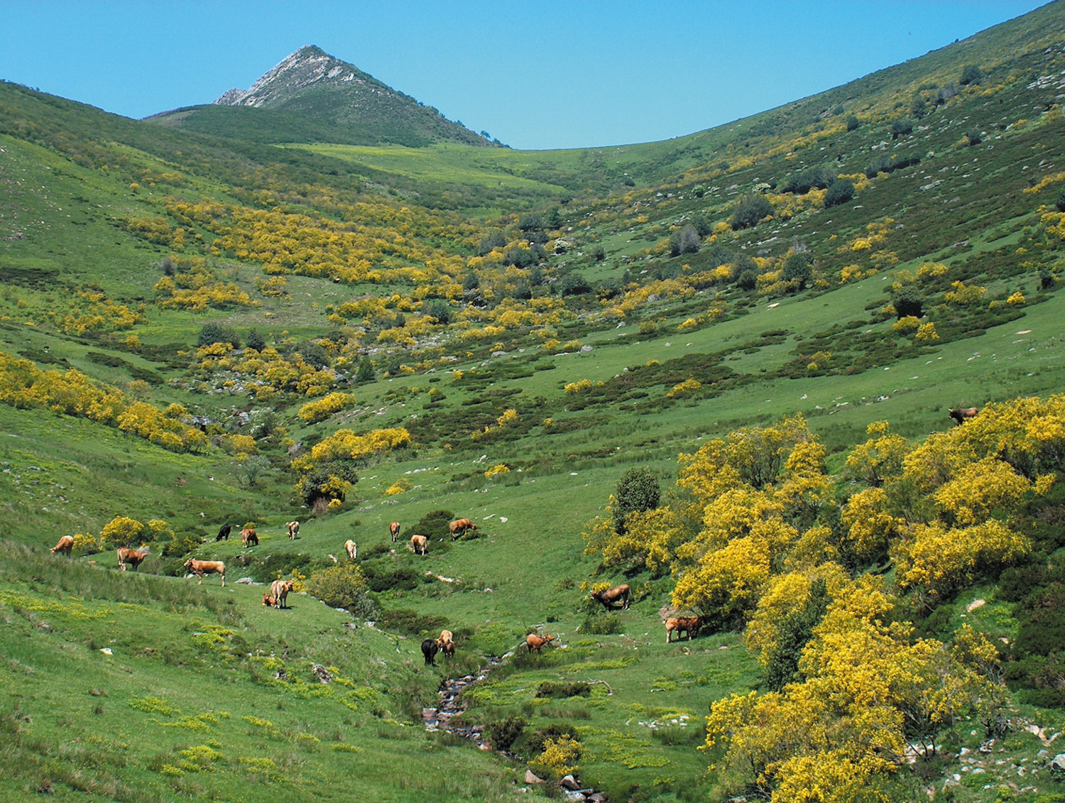 Foto de Puertos de Sejos en Los Tojos, Cantabria
