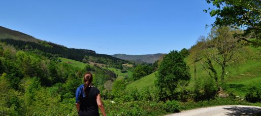 Ruta Cascadas de Lamiña