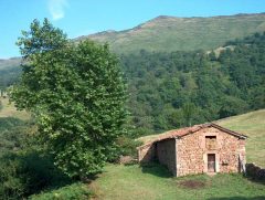 Monte Carmona. Invernal