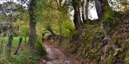 Ruta al Pico Ladreo (Mazcuerras)