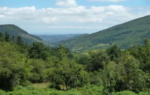 Camino Ribera del Río Saja