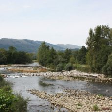 Ruta Villanueva de la Peña - Parque "El Bosque" - Cos