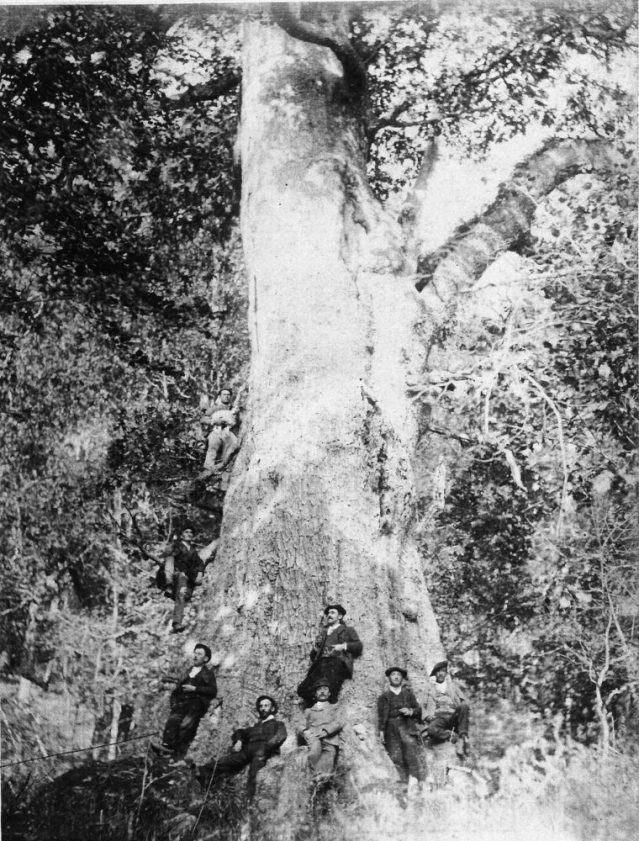 El Cubilón (Ruente)