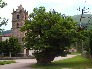 La Castañera (Terán)