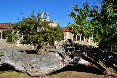 La Castañera (Terán)
