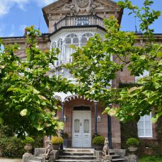 Palacio de Las Magnolias (Mazcuerras)