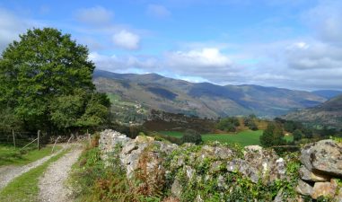 Camino de Saja a Colsa