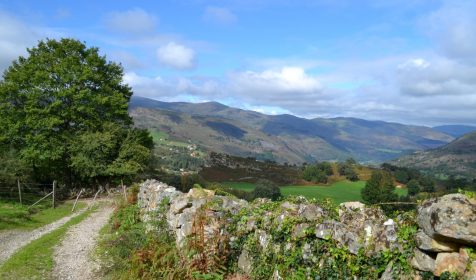 Camino de Saja a Colsa