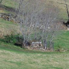 Fuente del Dujo (Colsa)