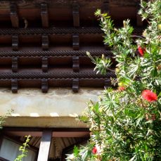 Barrio de Arriba, Ucieda