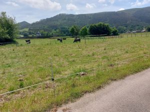 Ruta Villanueva de la Peña a Cos