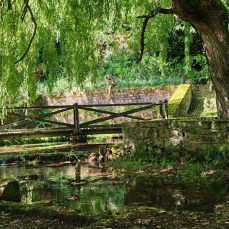 La Fuente de Selores (Selores)