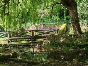 La Fuente de Selores (Selores)
