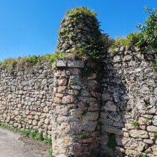 Palacio Gomez de la Torre (Riaño de Ibio)