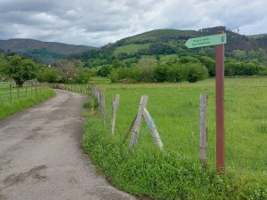 Ruta de las mieses (Sopeña)