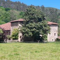 La Casona (Terán)