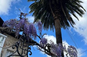 Visita autoguiada por Valle