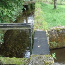 Molino de Arriba (Cos)