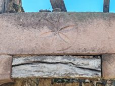 Roseta de seis pétalos - Hilera en la Cañá (San Pedro)