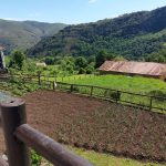 Huerto (El Tojo)