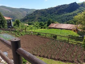 Huerto (El Tojo)