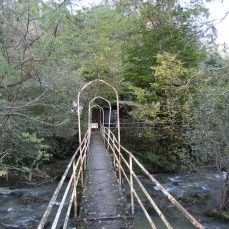 Molino (Herrera de Ibio)