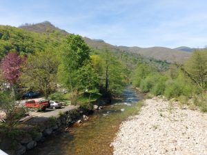 Montes de Cabuérniga (Fresneda)