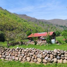 Montes de Cabuérniga (Fresneda)