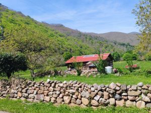 Montes de Cabuérniga (Fresneda)