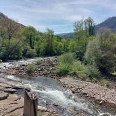 Río Saja (Fresneda)
