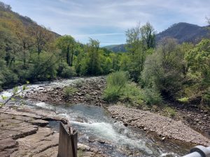 Río Saja (Fresneda)
