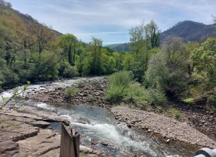 Río Saja (Fresneda)