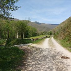 Río Saja. Camino a Renedo (Fresneda)
