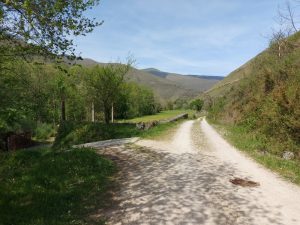 Río Saja. Camino a Renedo (Fresneda)