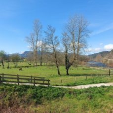 Ruta Villanueva a Cos (Villanueva de la Peña)