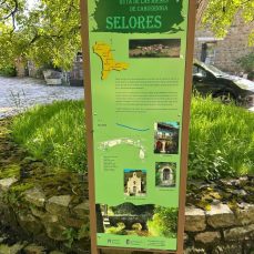 Ruta de las Mieses (Selores)