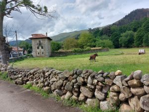 Ruta de las mieses Renedo