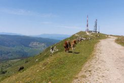 Ruta Alto de San Cipriano - Monte Ibio
