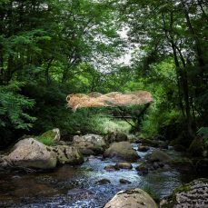 Aselart "Anillo" - río Ceceja (Herrera de Ibio)