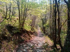 Sendero entre Saja y Colsa antes de llegar al humiladero