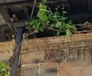 Hilera junto al Palacio Rubín de Celis (Renedo)