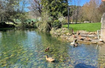 Estanque de Lavadero (Villanueva de la Peña)