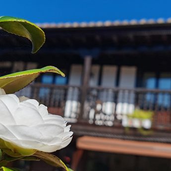 Detalle casona solariega (Sierra de Ibio)
